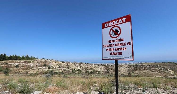 Kesilen Orman Alanındaki İşgale Son Verildi