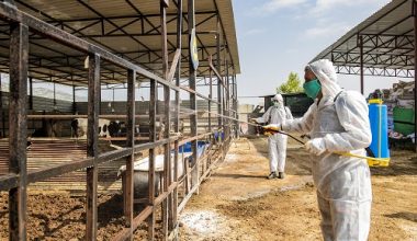 ÜÇGÜN HASTALIĞI İLE İLGİLİ İLAÇLAMA YAPILD