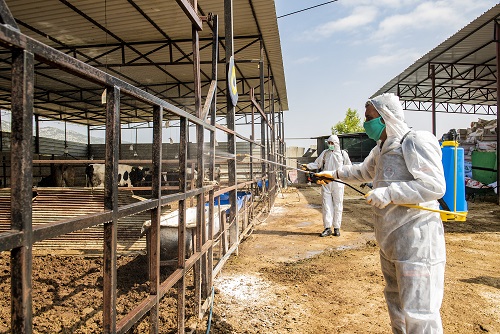 ÜÇGÜN HASTALIĞI İLE İLGİLİ İLAÇLAMA YAPILD