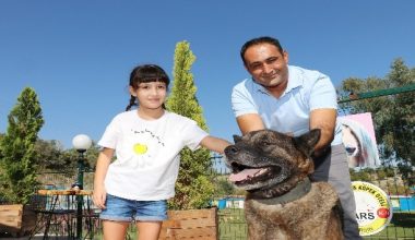 “Satın alma, sahiplen”