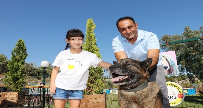 “Satın alma, sahiplen”