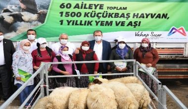 Büyükşehir’den üreticiye hayvan desteği