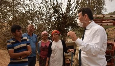 Başkan Kılınç Yangın Bölgesinde İncelemelerde Bulundu