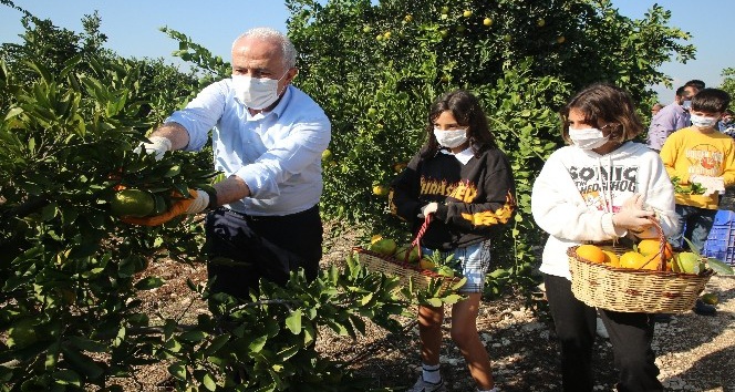 Başkan Gültak, Çocuklarla İzmir İçin Mandalina ve Portakal topladı