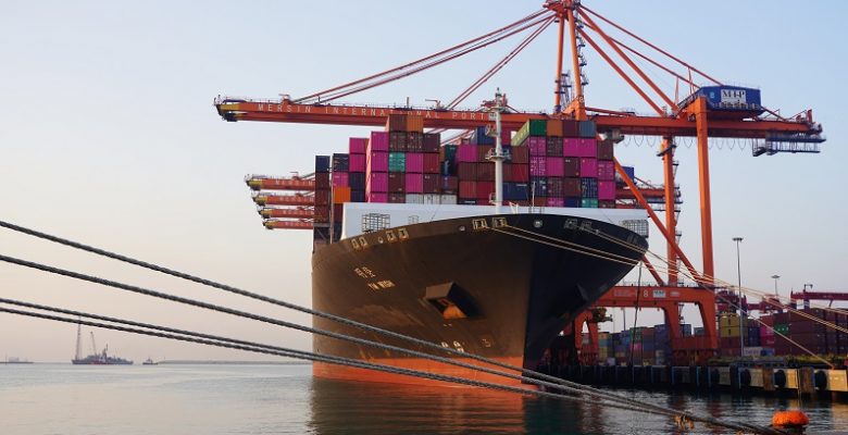 MIP’den yeni Türkiye rekoru