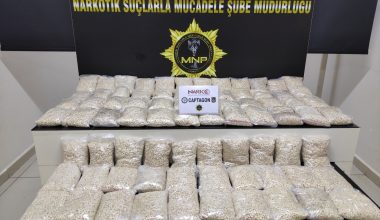 393 bin adet uyuşturucu hap ele geçirildi