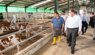 “2021 yılında tarım projelerinin maliyeti 24 milyon 728 bin lira”