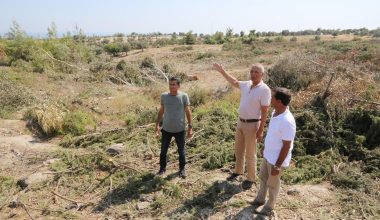 “YAĞMA DEĞİLDE NEDİR?”