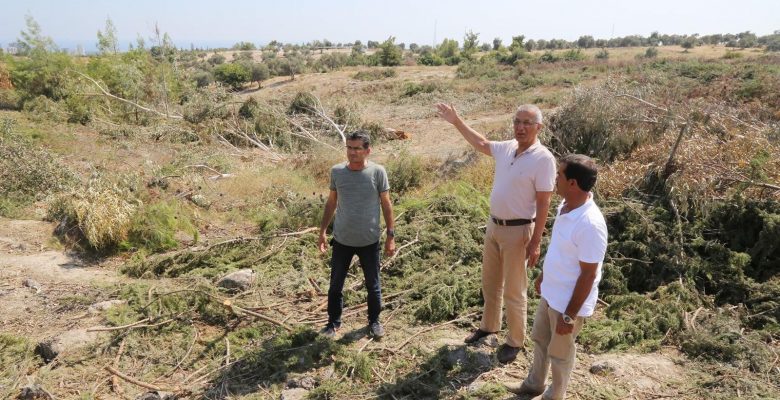 “YAĞMA DEĞİLDE NEDİR?”