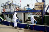 Balıkçı tekneleri dezenfekte edildi