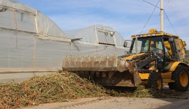 Erdemli Belediyesi, çiftçilere destek veriyor