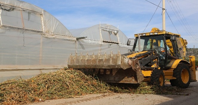 Erdemli Belediyesi, çiftçilere destek veriyor