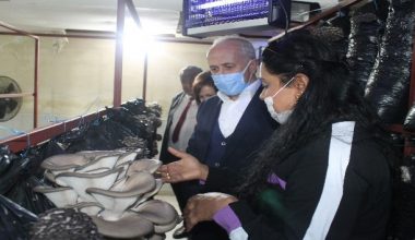 “Kadınlar çalışırken çocuklar kreşte eğlenecek”