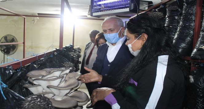 “Kadınlar çalışırken çocuklar kreşte eğlenecek”