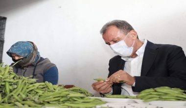 Başkan Seçer, Silifke ilçesinde incelemelerde bulundu