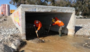 Sivrisinek ve larvayla mücadele sürüyor
