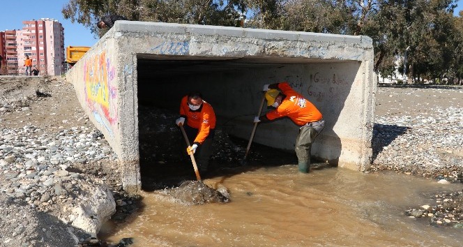 Sivrisinek ve larvayla mücadele sürüyor