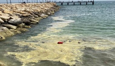 Deniz yüzeyi sarıya boyandı; “Kimyasal, gemi ya da kara kaynaklı bir kirlilik değil” açıklaması yapıldı