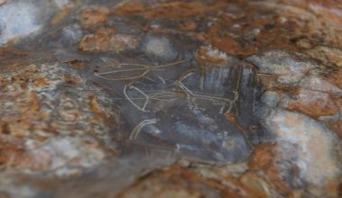 Bir mağarada bulunan 8 bin yıllık kaya resimleri için ilk adım atılıyor