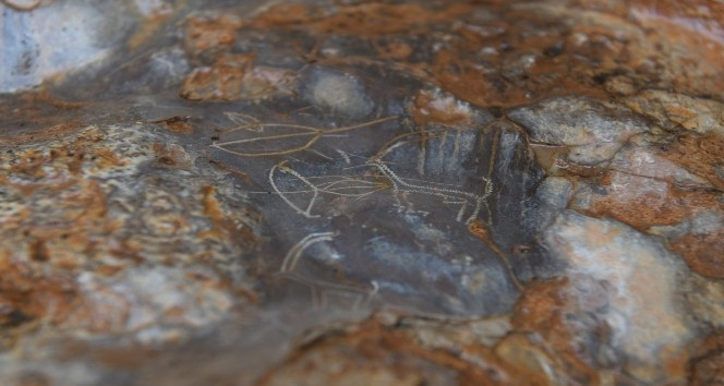 Bir mağarada bulunan 8 bin yıllık kaya resimleri için ilk adım atılıyor