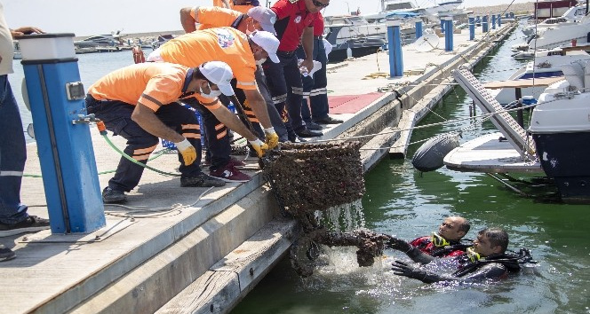 Denizden çıkanlara bak !