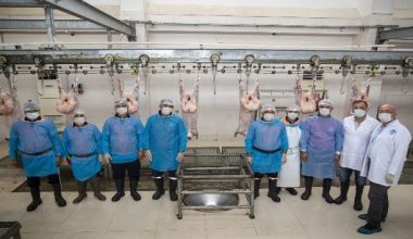 13 ilçede 24 mobil kesim ünitesi ve 8 mezbaha hizmet verecek