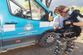 Akdeniz Belediyesi, yangından etkilenen hayvanları unutmadı