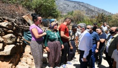 Bakan Yardımcısı, yangın bölgesini inceledi