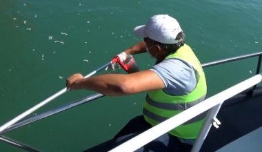 28 ayda 30 gemiye ceza kesildi