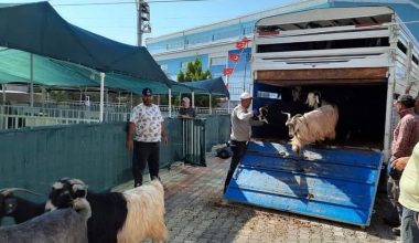 MHP Genel Merkezinden Başkan Kılınç’a teşekkür.