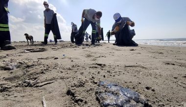 Adanalıoğlu Sahiline Vuran Petrol Atıkları Temizlendi