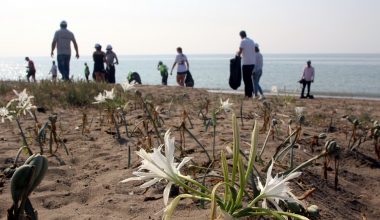 Kazanlı Sahili Baştan Sona Temizlendi