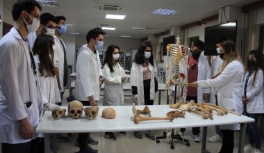 “Organ bağışı beden bağışına, beden bağışı organ bağışına engel değil”