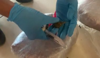 11 KİLO 930 GRAM ESRAR YAKALANDI