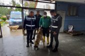 ACI ÇEKEN KÖPEK KURTARILDI