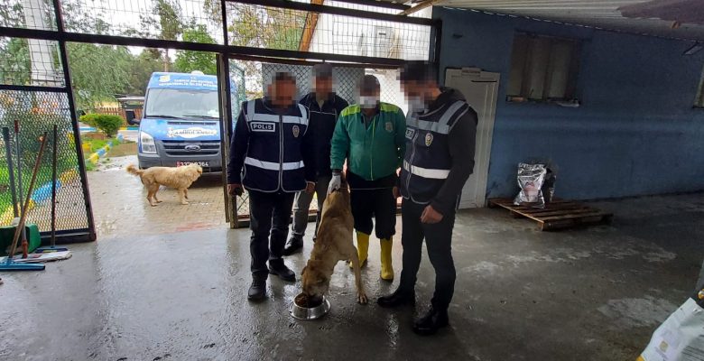 ACI ÇEKEN KÖPEK KURTARILDI