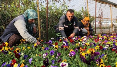AKDENİZ KIŞIN DA BAHARI YAŞAYACAK