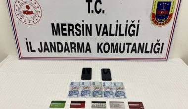 DOLANDIRICI TUTUKLANDI