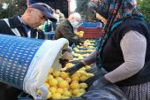 “Limonun yüzde 65’i Erdemli’de üretiliyor”