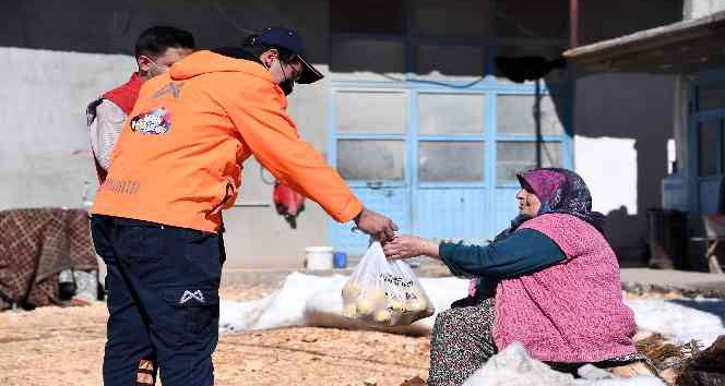 Mersin Büyükşehir Belediyesi, üreticiden 100 ton limon satın aldı