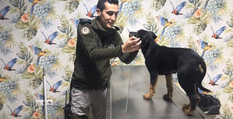 Şiddet Gören Yavru Köpeği Mersin Polisi Sahiplendi