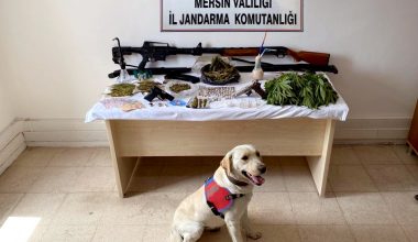 “JANDARMADAN TORBACILARA BAYRAM TEMİZLİĞİ OPERASYONU”