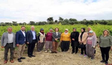 Uzmanlar, yerel üreticilere sunum yapacak