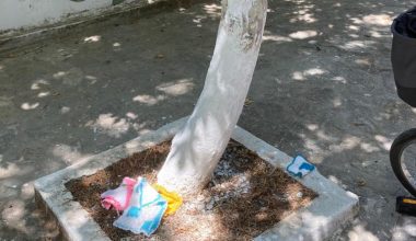 Mezitli Örgülü Sokağa Vandal Saldırı