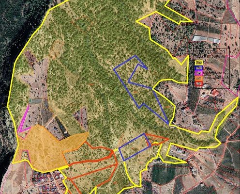 Orman Alanı Yapılaşma Tehdidi Altında