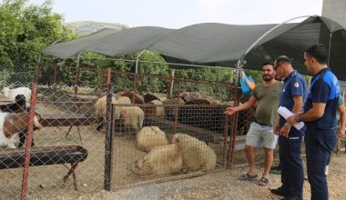 Mezitli Belediyesi mutlu bir bayram için tüm önlemleri aldı
