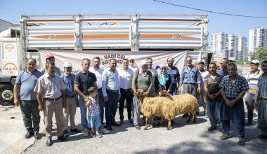 Erdemli, Mezitli ve Silifkeli 18 yetiştiriciye toplam 450 küçükbaş hayvan desteği