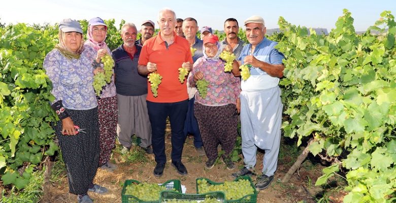 Başkan Gültak, tüm Mersinlileri üzüm diyarı Esenli’ye davet etti