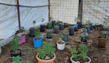 MERSİN’DE NARKOTİK OPERASYONU