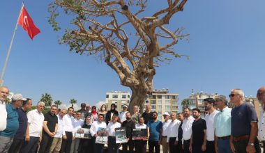 AK Parti’den ağaç tepkisi